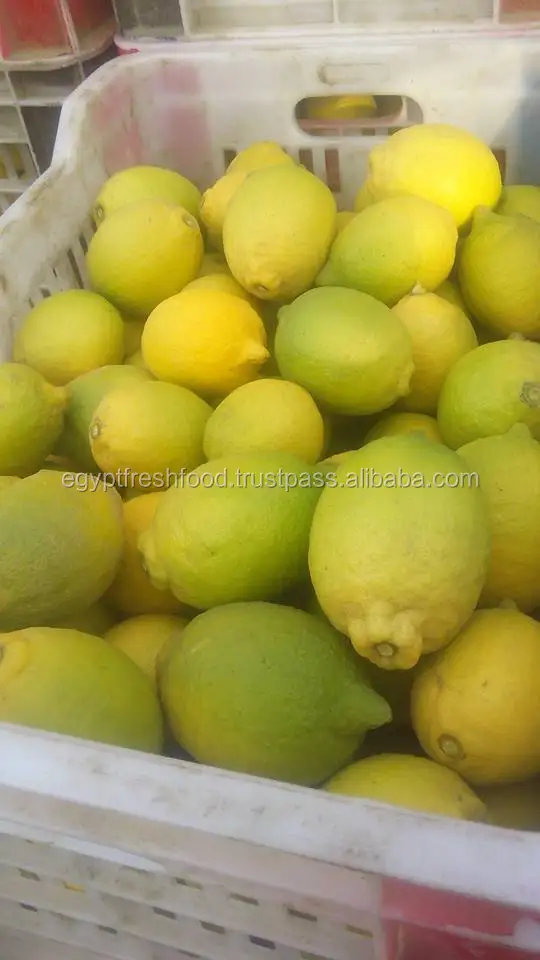 
Fresh Lemon , Citrus Lemon from Egypt , ready to export from our farms season 2020 