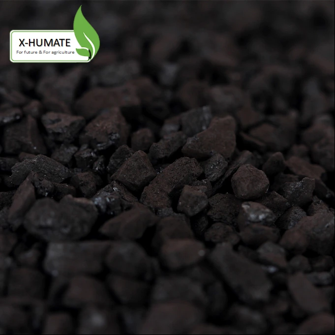 X-Humate Fertilizers Chemical Formula Potassium Humate Humic Benefits of Fulvic Acid for Fruit