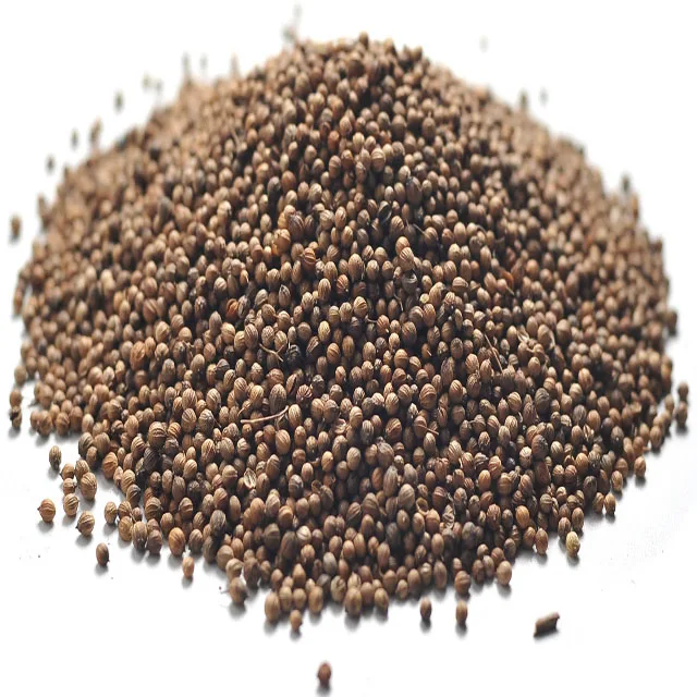 
Best price for fresh and high quality for coriander seeds 