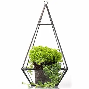 STYLES DESIGN PLANT TERRARIUM NICE DESIGN TABLE TOP PLANT HOLDER HOME DECORATIVE TERRARIUM