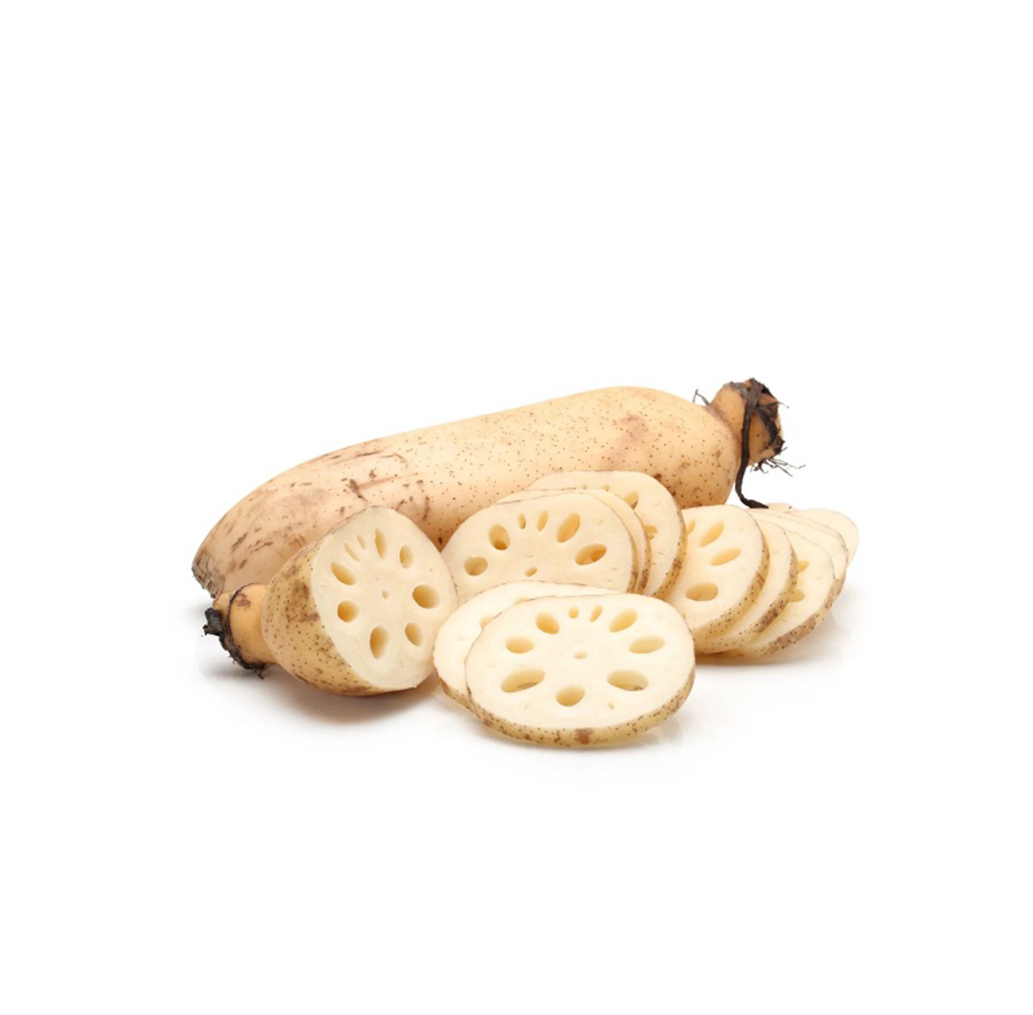 Frozen lotus whole Sliced Cheapest price/ HOLIDAY