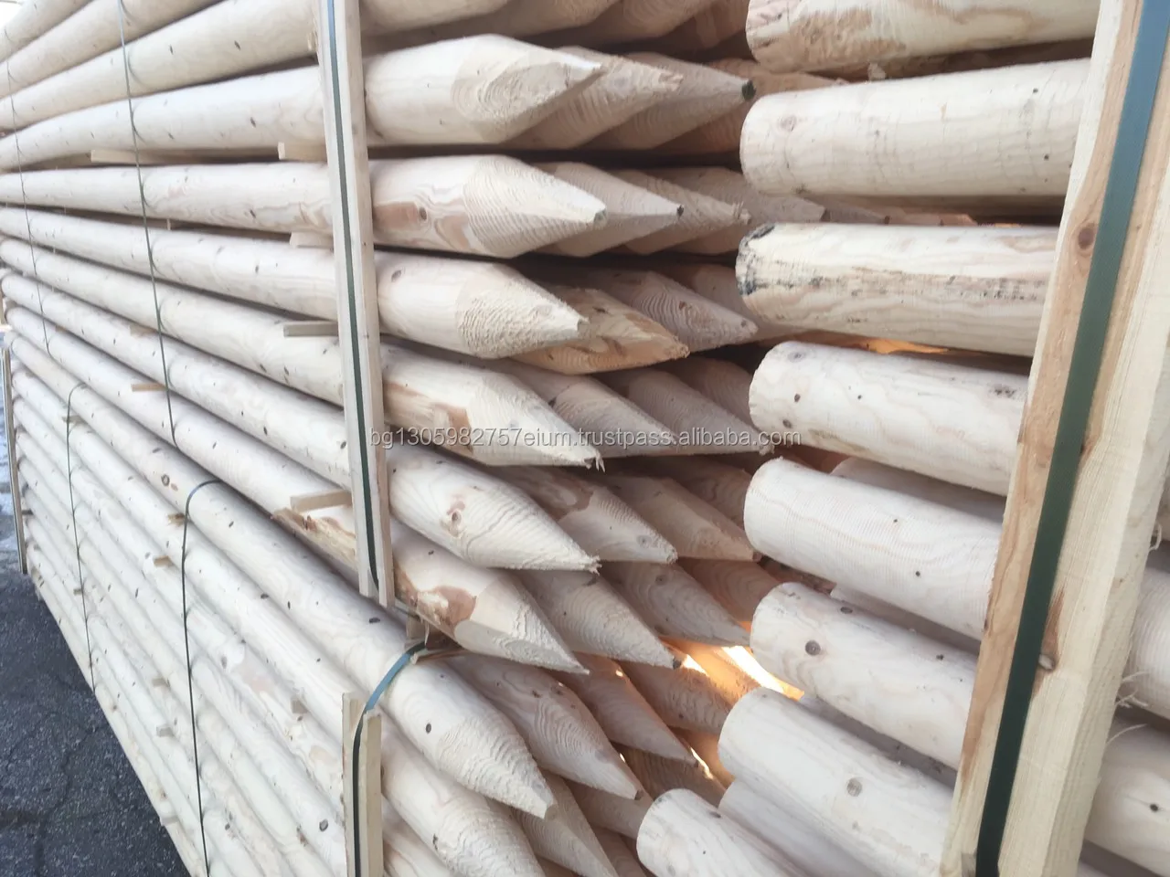 Electrical Wood Poles coniferous, lathed and impregnated by high pressure vacuum