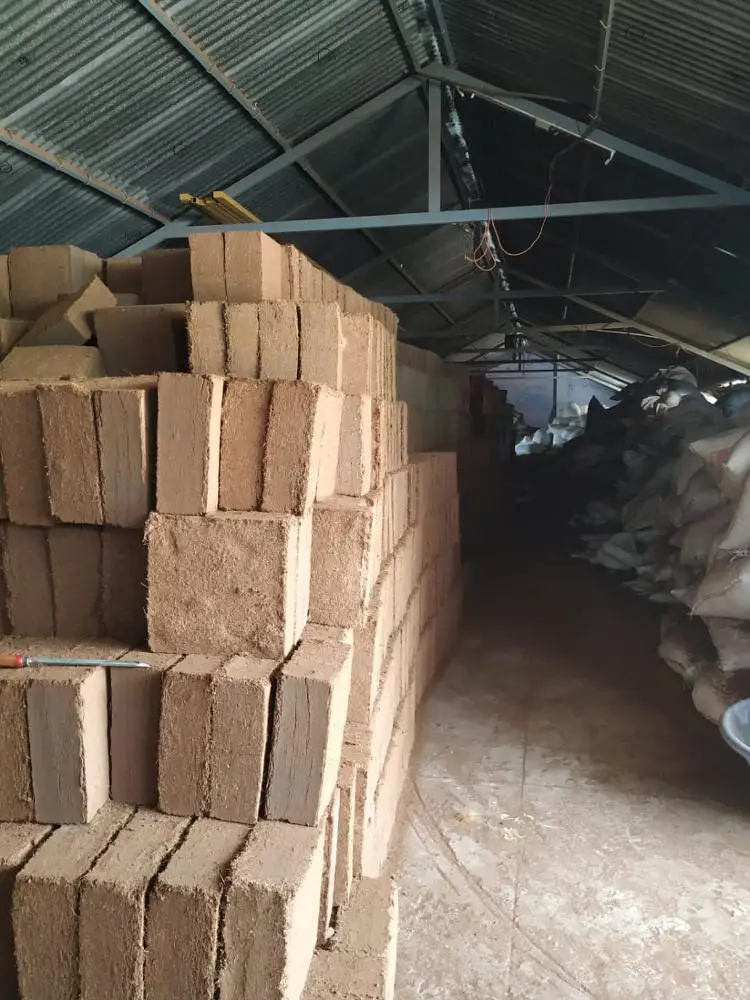 COCO PEAT - 100% organic and natural growing media extracted from coconut husk/ Whats ap : +91-9895764873