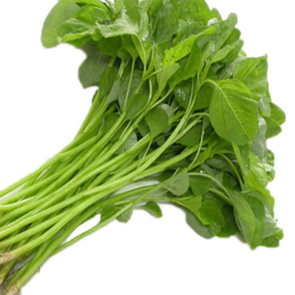 BEST PRODUCT - IQF FROZEN AMARANTH LEAVES/ BITEKU LEAVES CUT ORIGIN VIETNAM