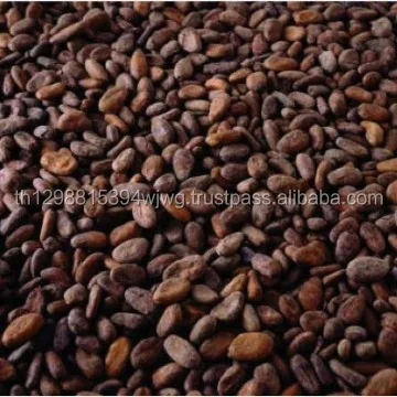 Good quality Dried Grade A Cocoa/ Cacao/ Chocolate bean Best Price