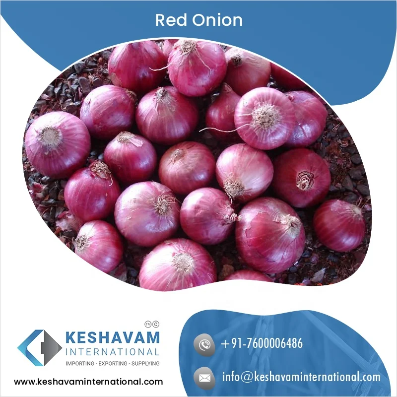 Export Quality Fresh Red Onion