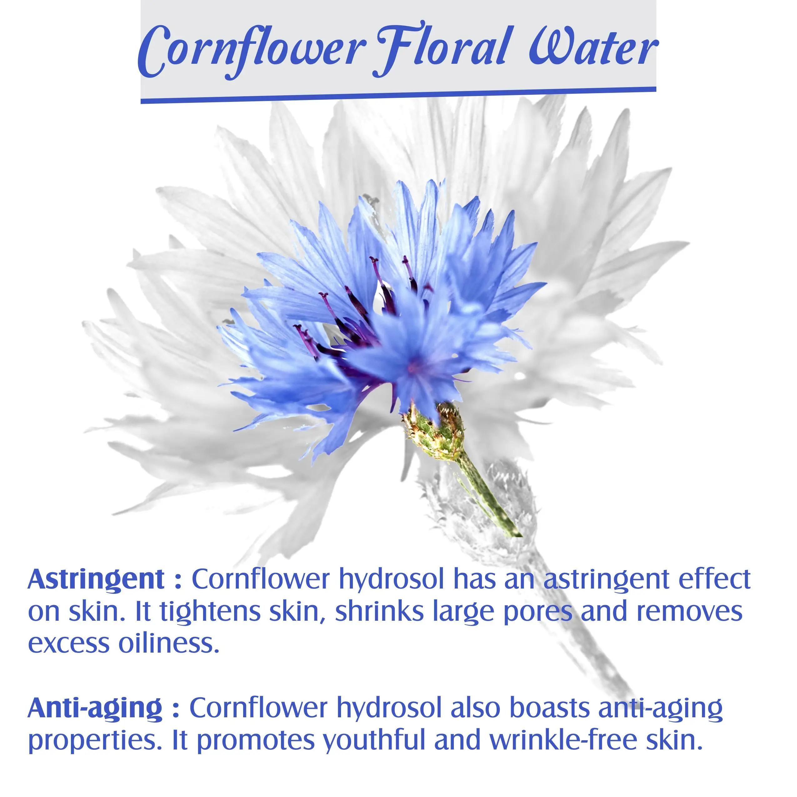 Cornflower Hydrosol 100 % Pure And Natural