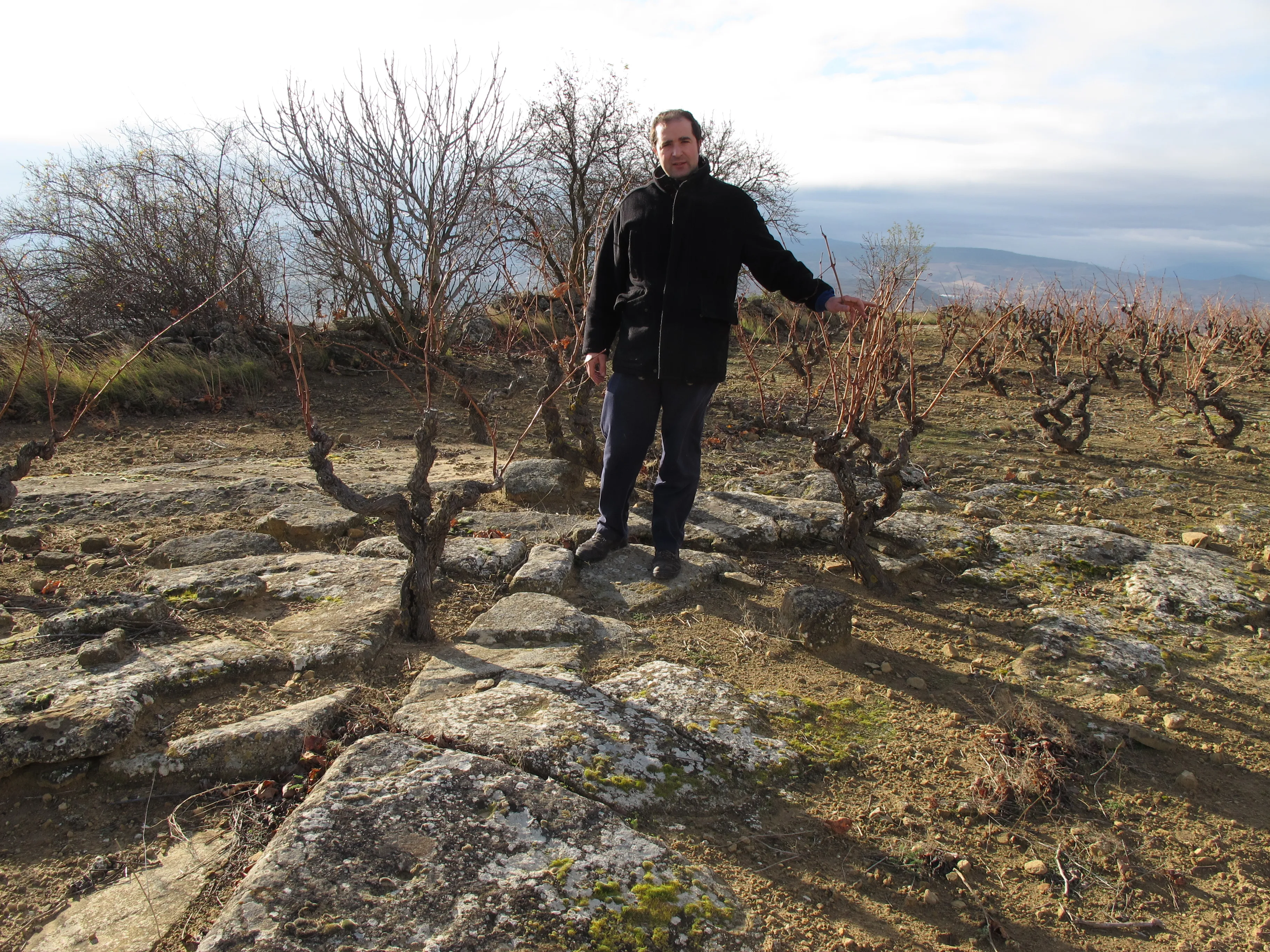 Spanish Doc Rioja Crianza hight quality wine Muro 14,5%