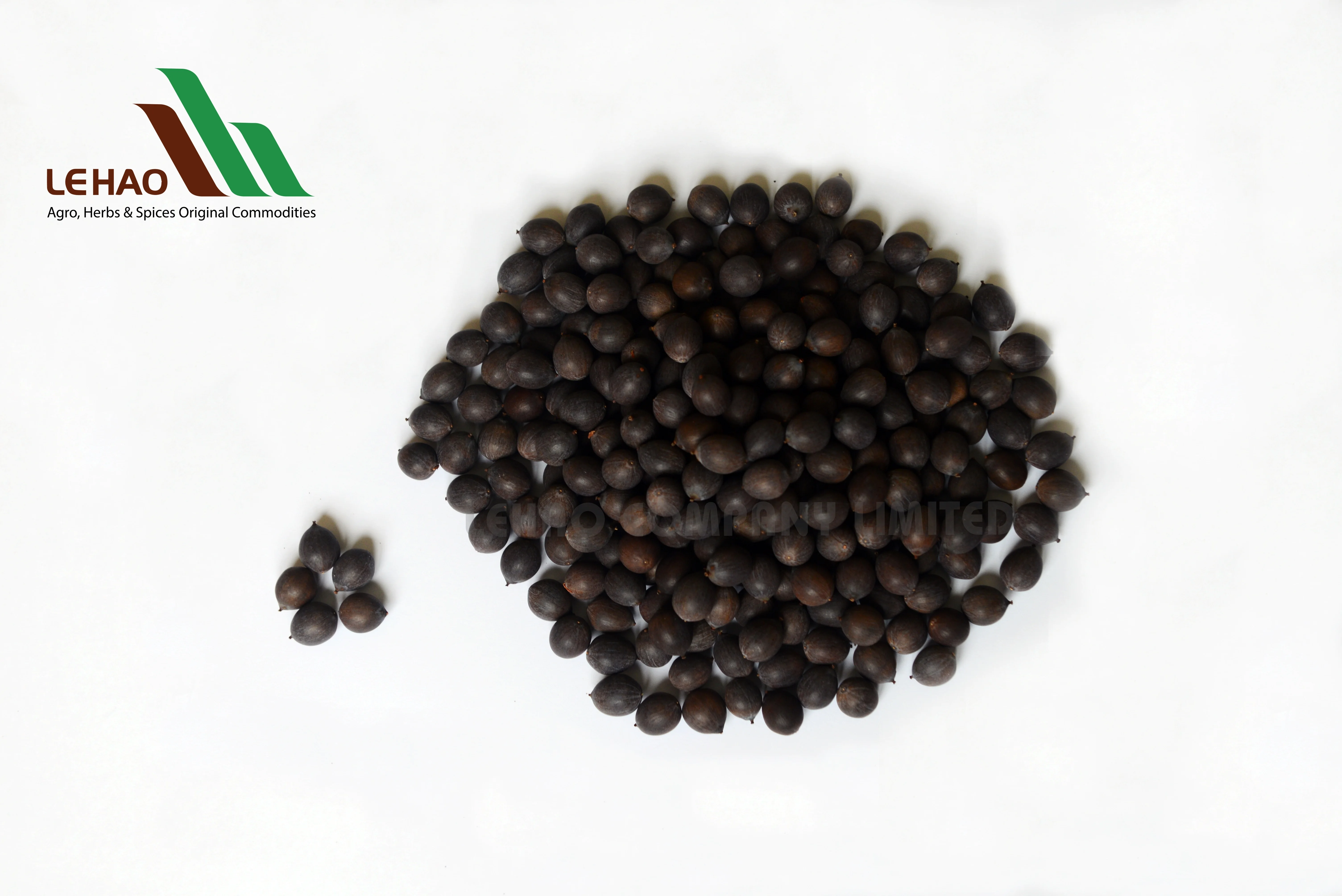 
LOTUS SEEDS BLACK COLOR (WHOLE ONE) 