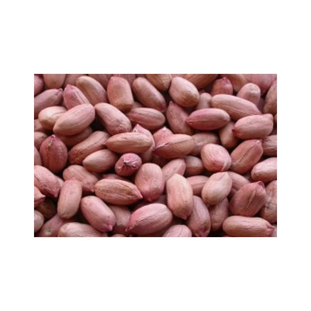 peanut exporter from india