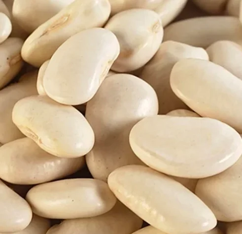 
Large Lima Beans 
