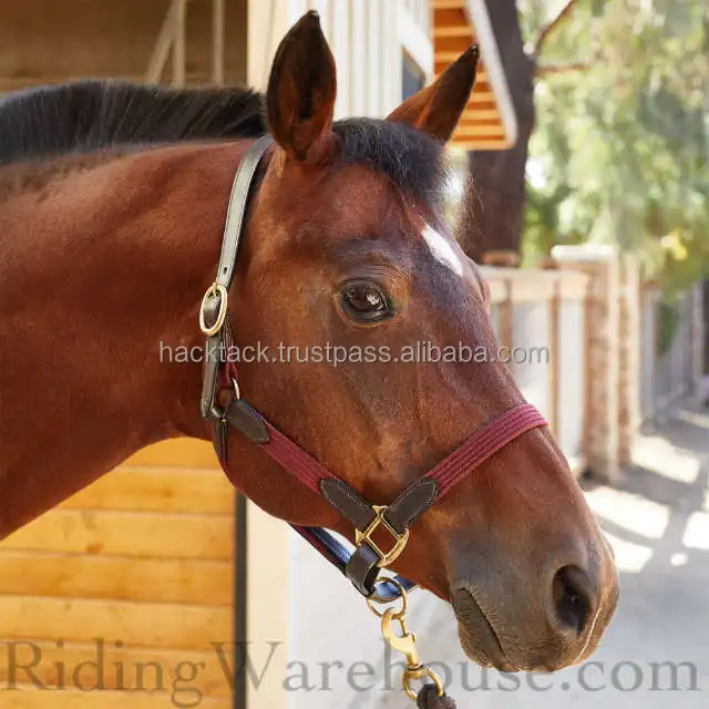 HORSE Deluxe Leather size /Horse Horse Leather Bridle/Lovely and Higher Quality ROLLED Brown Leather In Hand Arabian Show Halter