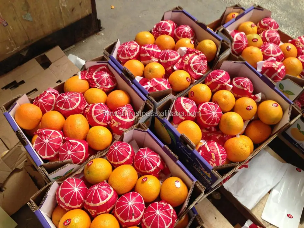 PREMIUM FRESH ORANGES - Big Orange fruits Best Price offer