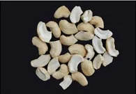 Cashew nuts SP
