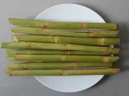 Fresh sugar cane for juice