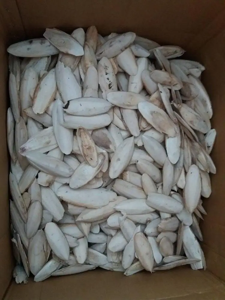 
Dried Cuttlefish bone for cattle feed/ cuttlefish bones powder ( MS.HOLIDAY Whatsapp +84-845-639-639) 