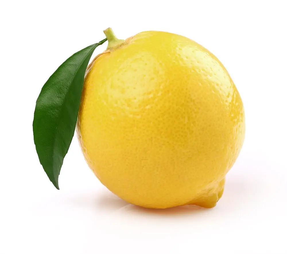 100% pure and natural Aromatherapy Therapeutic Grade wholesale bulk price Lemon Essential Oil