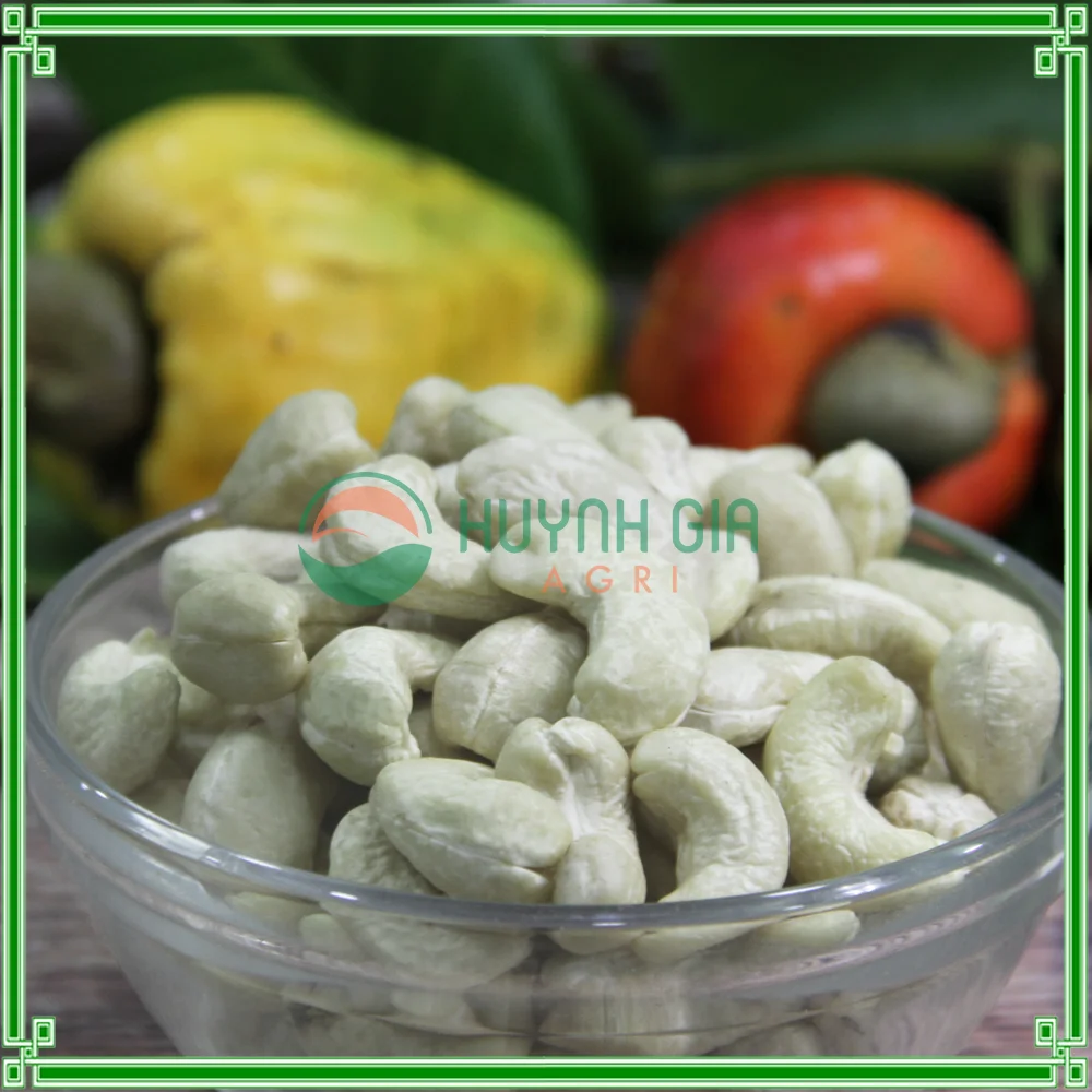 
VIETNAM CASHEW NUTS/ WHITE WHOLE KERNELS WW240 
