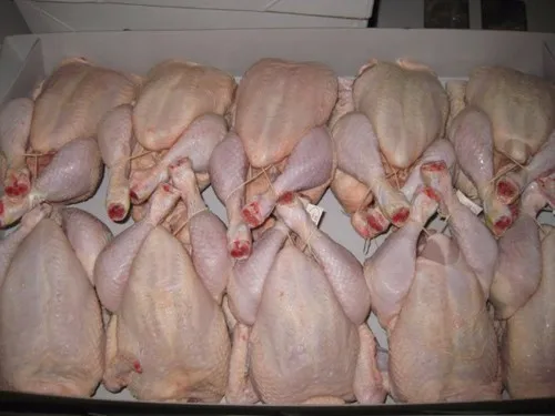 
FROZEN HALAL WHOLE CHICKEN, CHICKEN FEET, PAWS, WINGS, GIZZARDS 