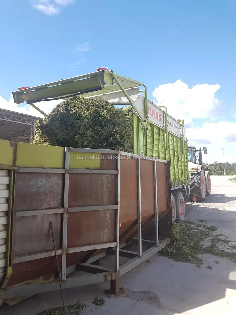 
Alfalfa pellets for cattle animal feeding 