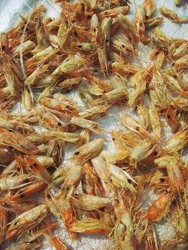 
Dry Shrimp Shells Powder For Make Animal Feed /Dried Shrimp Head SOPHIE WHATSAPP 0084845639639 