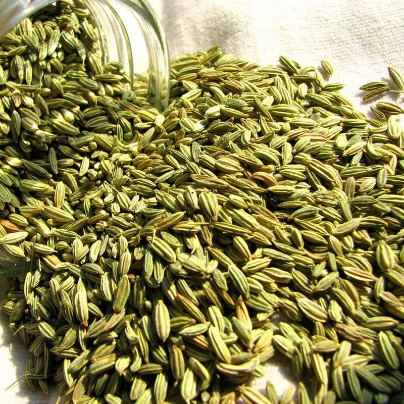Fennel Seed - (Large)