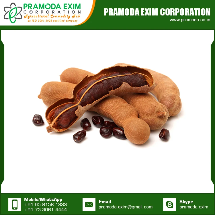 New Crop Organic Tamarind Fresh