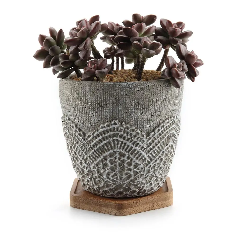 4.5 Inch Cement Lace Pattern Succulent Plant Pot/Cactus Container  Classic Design with wooden Tray