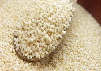 Indian Hulled Sesame Seeds