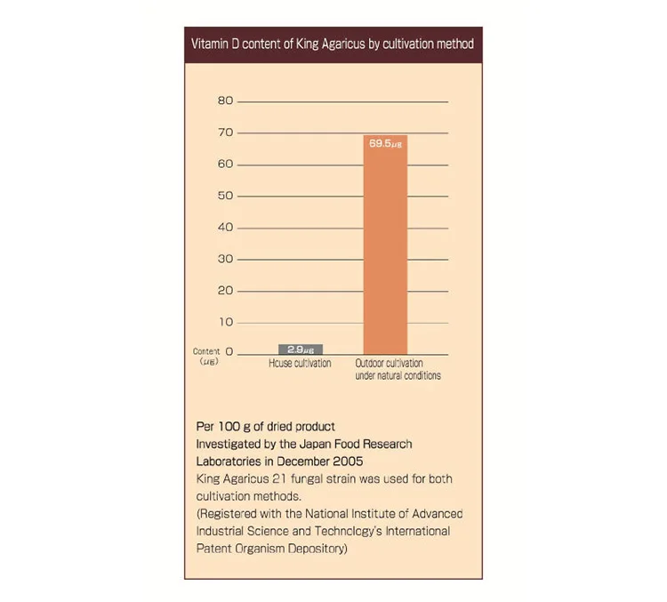 Natural Herbs Powder Supplement For People Searching Senna Laxative