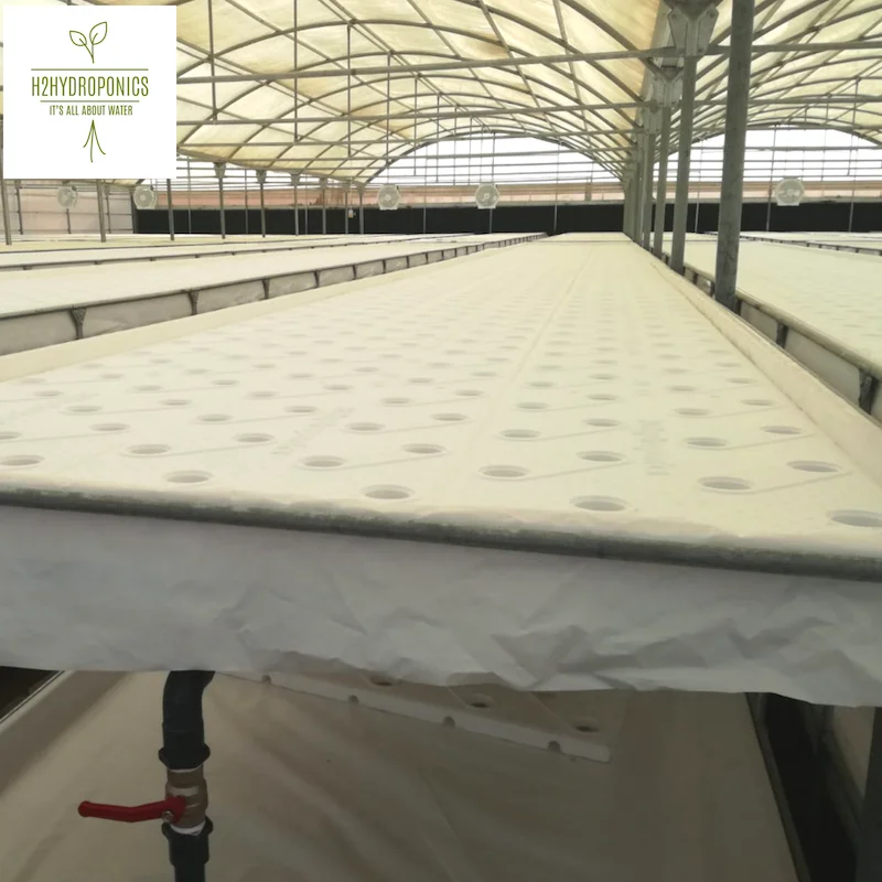 Greenhouse for Professional Growers and Cost Effective Vegetable Production