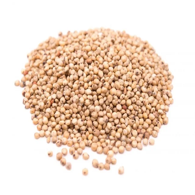 Sorghum - (Human Consumption)