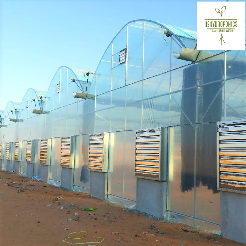 
Versatile Tropical Greenhouses for NFT, Hydroponics and Drip Irrigation 