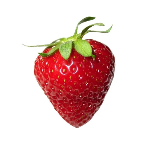 high quality  export  best price strawberry red in india