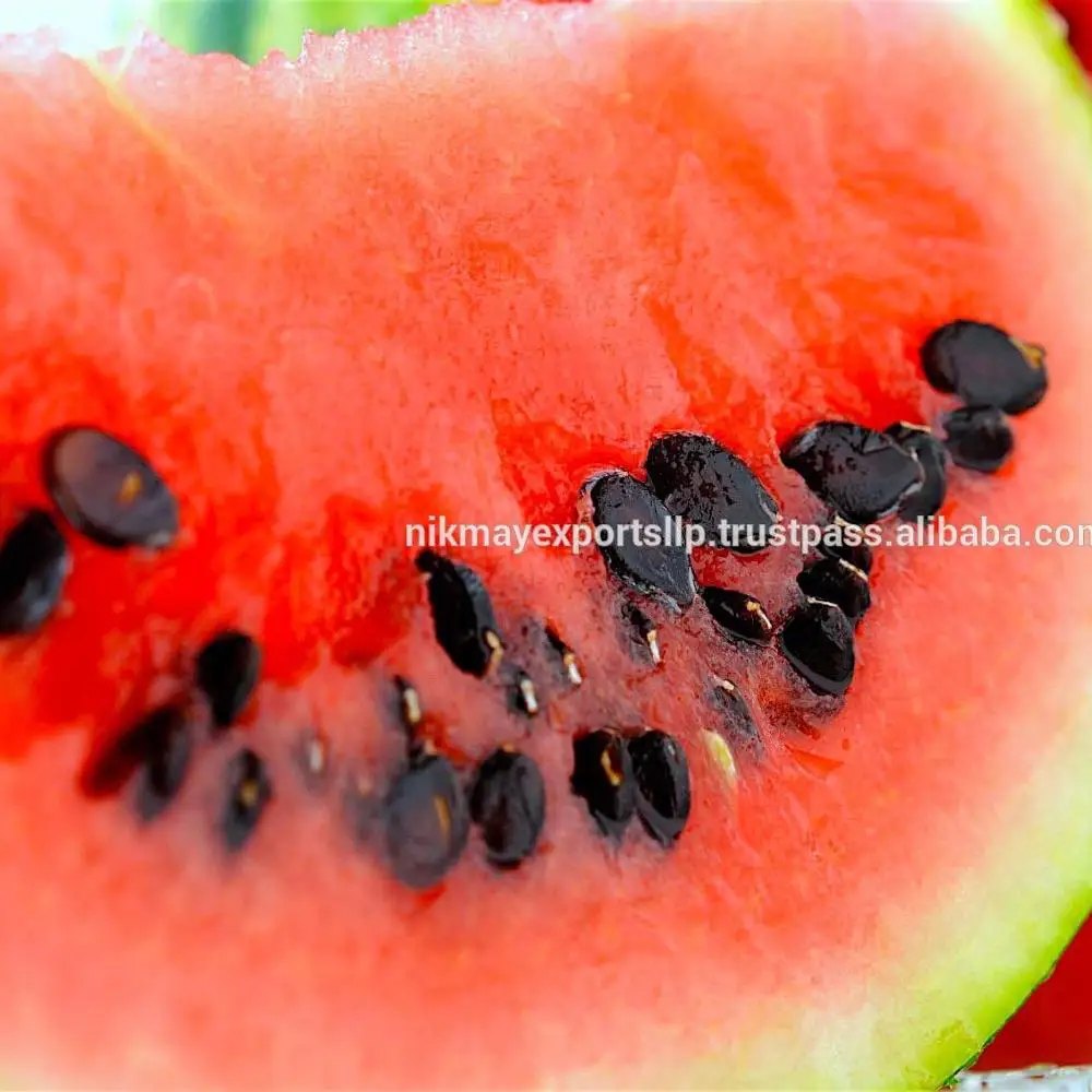BEST QUALITY WATERMELON SEED ORIGIN INDIA FROM NIK-MAY EXPORTS LLP