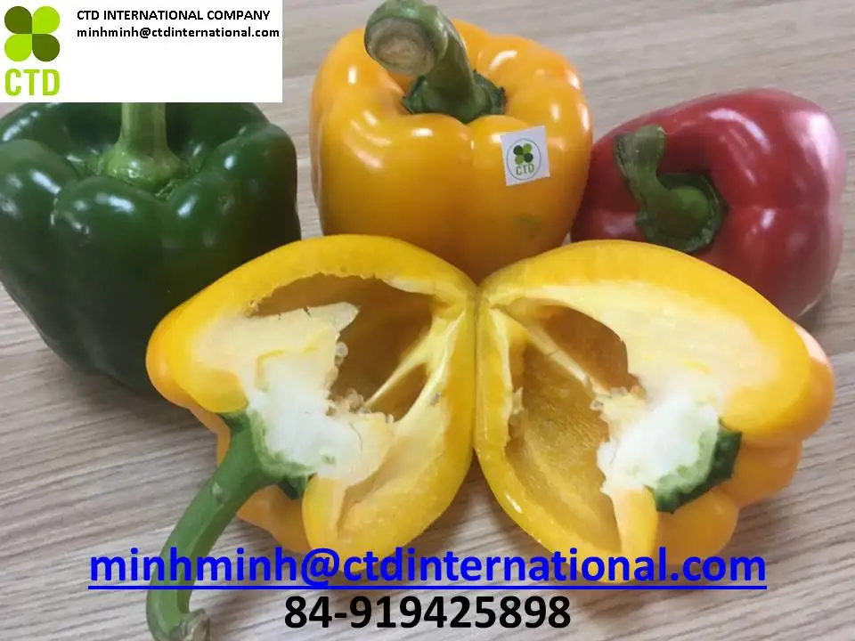 
Vietnam fresh green capsicum 