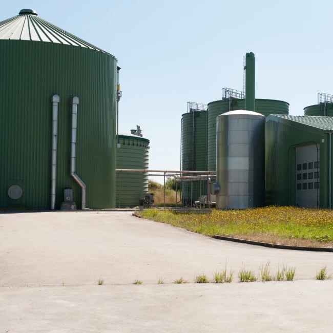 Microbes that anaerobically convert wastewater into biogas in WWTP reactor