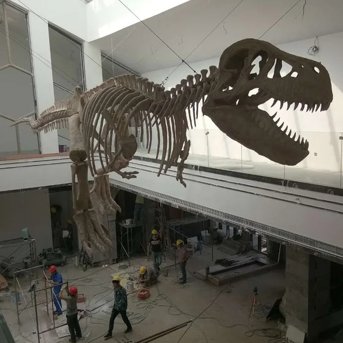 Simulation authentic dinosaur fossils for sale