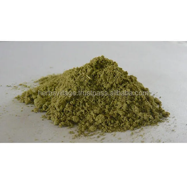 Cassia Angustifolia Extract Powder