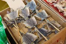 
Hot Gecko in Vietnam . 