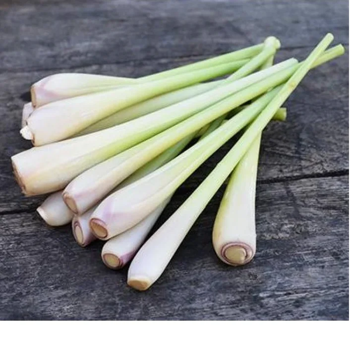 Замороженный измельченный Лемонграсс/Лемонграсс по лучшей цене WHATSAPP + 84-845-639-639