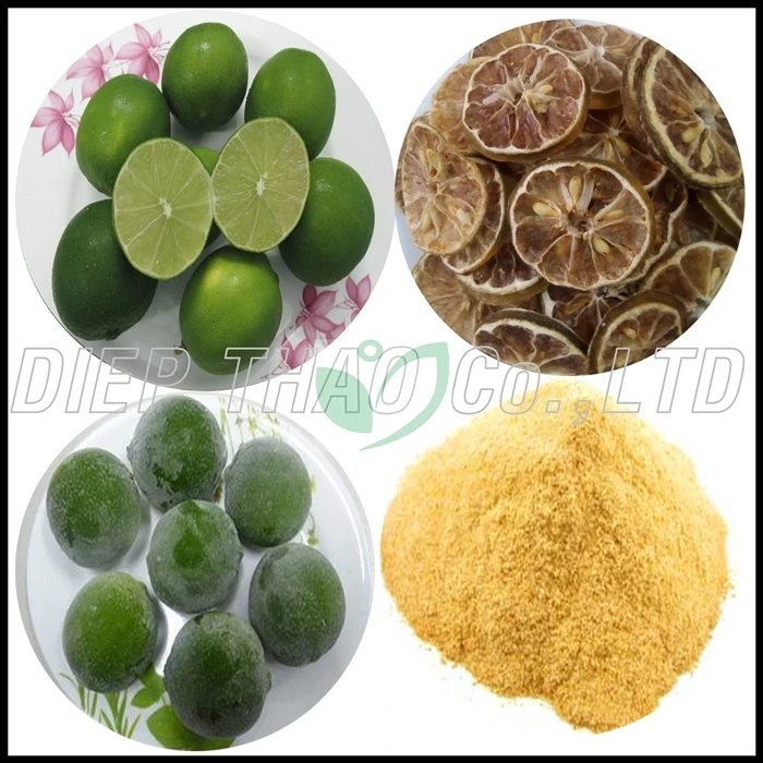 Supplier lemon seedless from vietnam with best quality/ rich vitamins/ much lemonade/