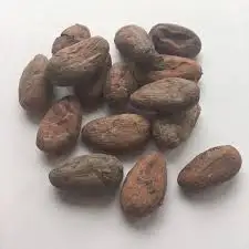 Cocoa floral absolute oil 100% pure and natural with high quality