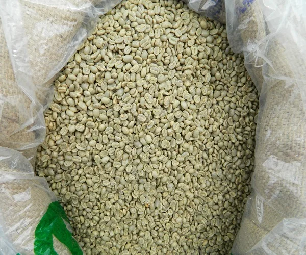 КОФЕ Robusta/Арабика, зеленые кофейные зерна