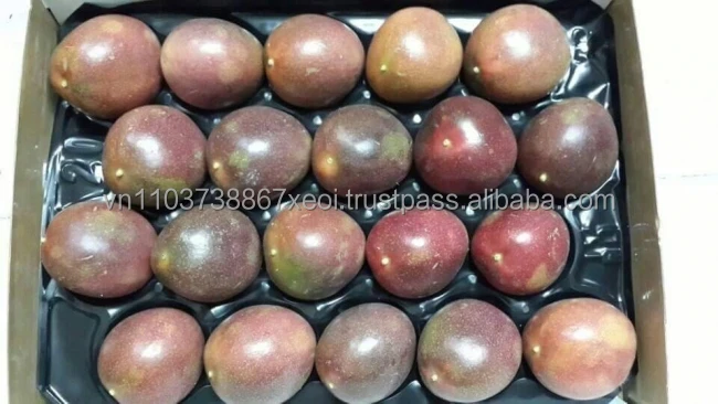 FRESH PASSION FRUIT/ FROZEN PASSION FRUIT FOR KOREA MARKET