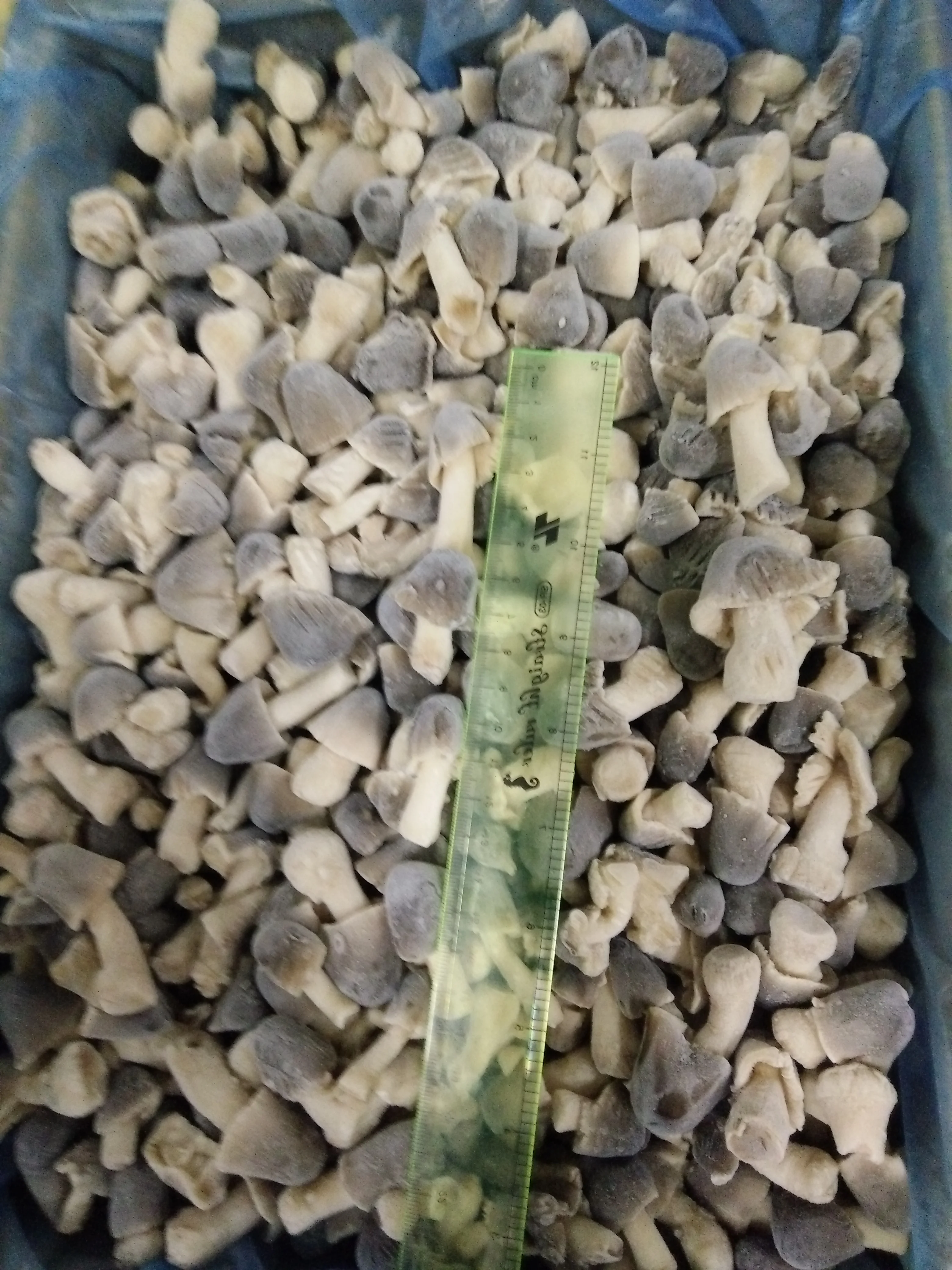 
TOP QUALITY! OFFER VIETNAMESE FROZEN STRAW MUSHROOM WITH HIGH QUALITY AND BEST PRICE 