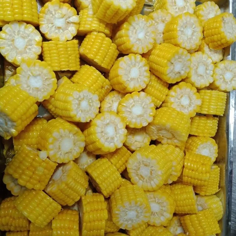 VIETNAM VEGETERIAN FOODS OF IQF STEAMED FROZEN SWEET CORN COBS CHOICE QUALITY PRODUCT WITH GOOD QUALITY AND COMPETITIVE PRICES