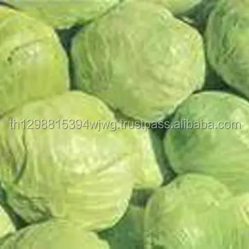 Fresh Chinese cabbage (Napa Cabbage)