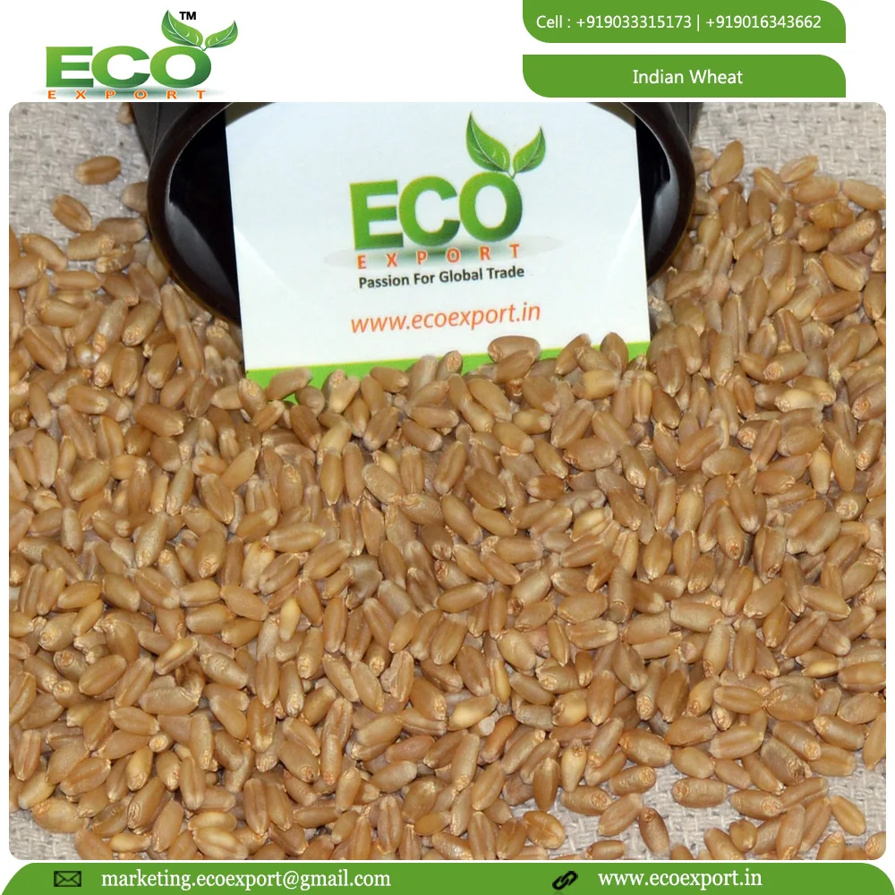 Машина primium для очистки мягкой пшеницы