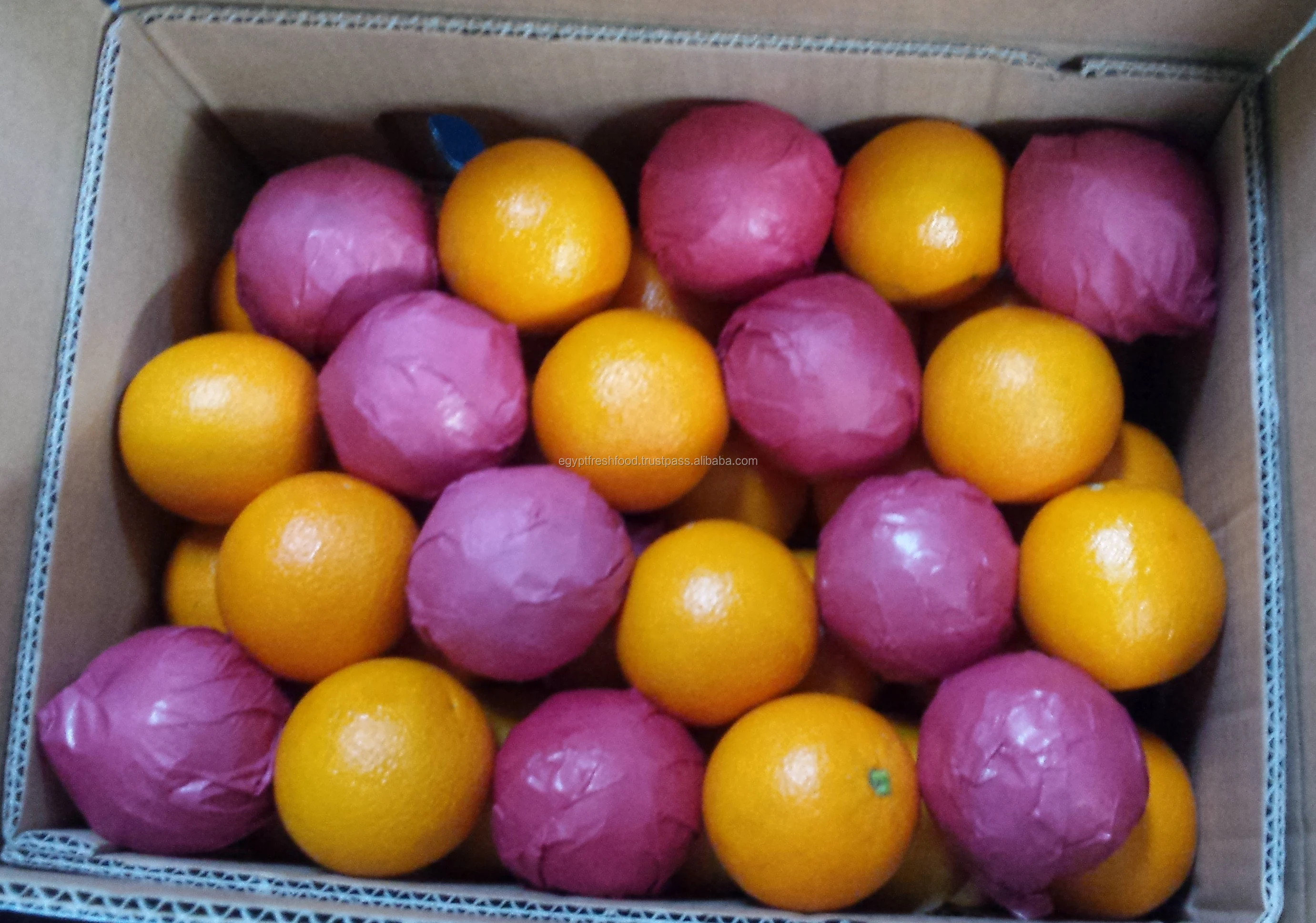 Fresh grape fruit, Red/White Grape fruit from Egypt , ready to export from our farms season 2020